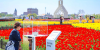 네덜란드? 중국?...中 장쑤, 알록달록한 봄꽃의 향연