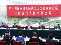 中 리창, 윈난성 대표단 심의 참석