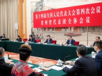 中 왕후닝, 구이저우성 대표단 심의 참석