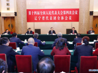 中 딩쉐샹, 랴오닝성 대표단 심의 참석