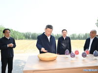 中 시진핑, 산둥성 더저우시 시찰...농업∙농촌 현대화 강조