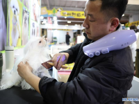 맞춤 식단∙의상...날로 진화하는 中 반려동물 산업