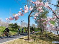 베이징 지난해 PM2.5 평균 농도, 관측 이래 최저치 경신