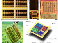 中 연구팀, 차세대 웨어러블 기기 위한 플렉서블 칩 "FLEXI" 시리즈 칩 개발