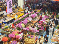 꽃 훠궈∙장미 라테...中 윈난 화훼산업의 놀라운 변신