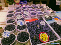 "금값" 블루베리의 변신...中, 기술 혁신 힘입어 대중 과일로