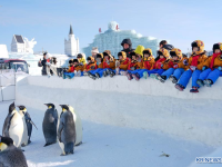 "빙설경제" 열풍 이어간다....中 지린, 다양한 산업 간 융합으로 "동북 진흥" 견인