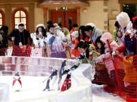 中 남부 지역도 빙설 스포츠 성장세 뚜렷..."실내 스키장"이 뜬다