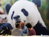 2025년 中 광고 산업 매출액, 448조원 돌파...연평균 성장률 16.8%