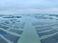 中, 지난해 해양 총생산 2천조원 훌쩍...전년比 5.5% 증가