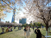 中 청명절 연휴 맞아 봄나들이 수요 급증..."꽃놀이·체험 여행" 활기