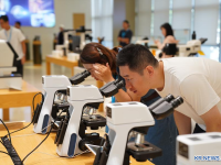 中 항저우·닝보, 광전 산업 육성 "쌍두마차"