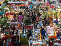 中 화훼 산업, 스마트 농업·이커머스로 날개 달고 세계 시장으로 "훨훨"