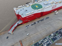 中 상하이, 1분기 수출입 226조원 돌파..."세계 1위" 자동차 로로부두의 저력