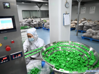 中 허난 푸양 커피 산업, "일대일로" 협력 속 고용·경제 활성화