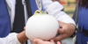 해양목장에서 생태관광까지...中 웨이하이, 사계절 관광지로 도약