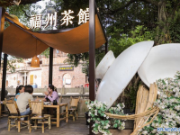 도시 대표 꽃에서 산업 엔진으로...中 푸저우, "모리화" 산업 다각화