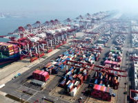 中 칭다오항, 올 들어 7개 노선 신규 개통