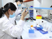 中 혁신신약 업계 "내실 경쟁" 돌입...글로벌 진출·수익 창출이 관건