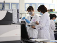 中, 상반기 혁신약 80% 이상 자체 개발...제약사 실적 개선 "뚜렷"