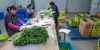 中 저장성 자싱시, 우주 육종 채소 첫 수확 성공