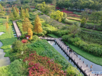 中, 40년 연속 산림 면적·축적량 동반 증가