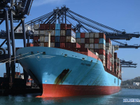 칠레산 체리, 中 춘절 앞두고 "최고 인기 상품" 조짐