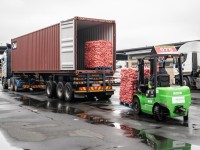 남아공 전문가 中, 남아공 전 품목 무관세 결정...무역구조 변화 "신호탄"